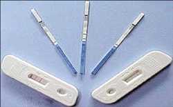 Global-Syphilis-Rapid-Test-Kit-Market