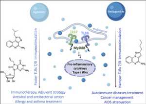 Global-Toll-Like-Receptor-8-TLR8-Market