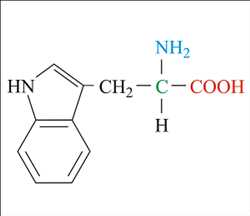 Global-Tryptophan-Market