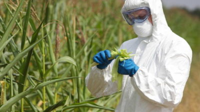 Biotecnología Agrícola