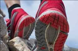 Global Athletic Footwear Market Growth