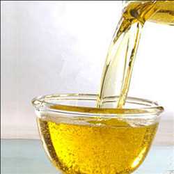 Global Cooking Oil Market Trends