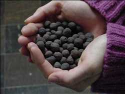 Pellets de mineral de hierro