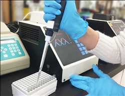 Global Polymerase Chain Reaction (PCR) Market Insight