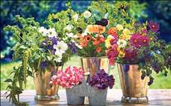 Crecimiento del mercado mundial de flores cortadas