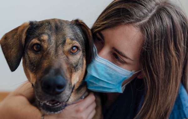 Demanda del mercado mundial de cuidado de mascotas