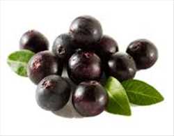 Tendencias del mercado mundial de Acai Berry