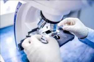 Demanda del mercado global de patología anatómica