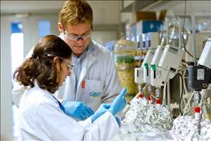 Perspectiva global del mercado de validación de bioprocesos