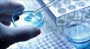 Análisis del mercado mundial de tecnologías forenses