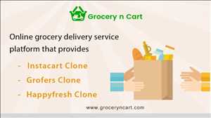 Análisis del mercado mundial de software de entrega de comestibles