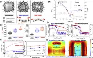 Tendencias del mercado mundial de silicio policristalino de baja temperatura (LTPS)