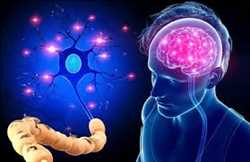 Pronóstico del mercado mundial de enfermedades neurodegenerativas