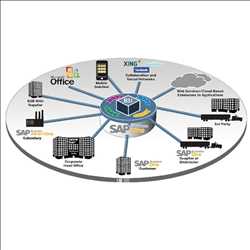 Demanda del mercado global de servicios de aplicaciones de SAP