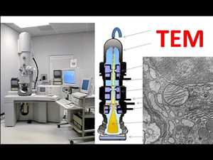 Pronóstico del mercado mundial Microscopio electrónico de transmisión (TEM)