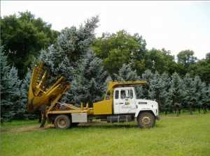 Pronóstico del mercado mundial de palas de árboles