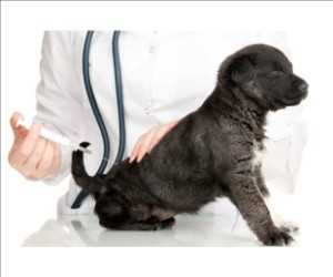 Crecimiento del mercado mundial de vacunas veterinarias