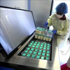 Tendencias del mercado mundial de pasteurizadores de vino