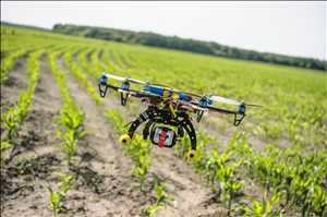  CAGR del mercado mundial de drones agrícolas