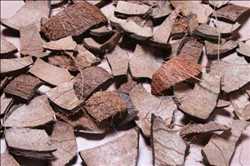 Análisis del mercado global de cáscara de coco triturado