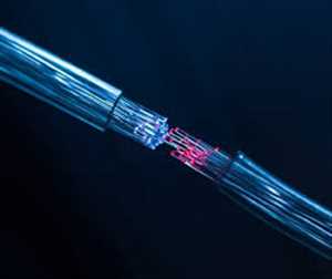 Sistema de monitoreo de detección de fibra óptica globalJugadores líderes del mercado
