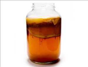 Tendencia del mercado global de Kombucha