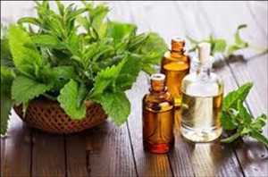 Análisis del mercado mundial de aceites esenciales orgánicos