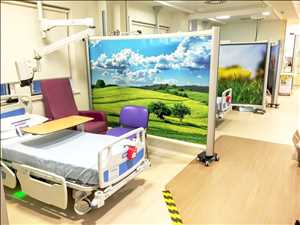  CAGR del mercado global de pantallas portátiles de hospital