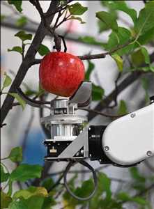 Crecimiento del mercado mundial Recolector de frutas robótico