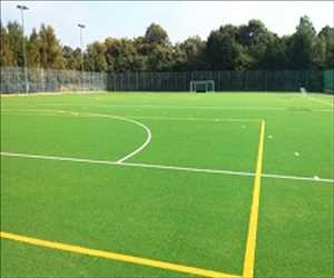 Pronóstico del mercado mundial de césped deportivo