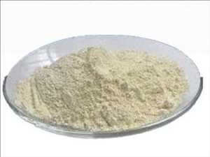 Alcance futuro del mercado global de gluten de trigo vital