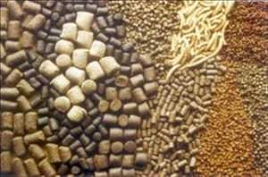  Pronóstico del mercado mundial de piensos para acuicultura