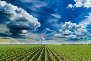 Oportunidades de mercado global de agricultura climáticamente inteligente