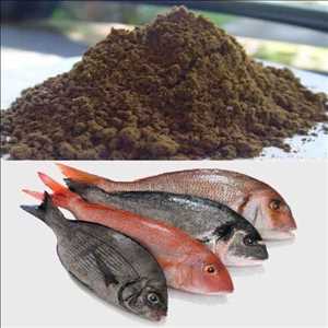 Tamaño del mercado mundial de harina de pescado