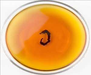  Tasa de crecimiento del mercado global GABA (CAS 56-12-2)