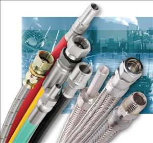  Cuota de mercado mundial de mangueras industriales