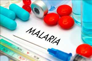  Oportunidades del mercado mundial de medicamentos contra la malaria