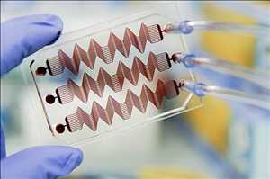  Tasa de crecimiento del mercado mundial de dispositivos de microfluidos