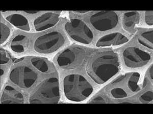  Jugadores líderes en el mercado mundial de materiales nanoporosos