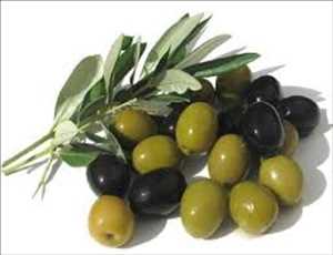  Datos históricos del mercado mundial de extracto de hoja de olivo