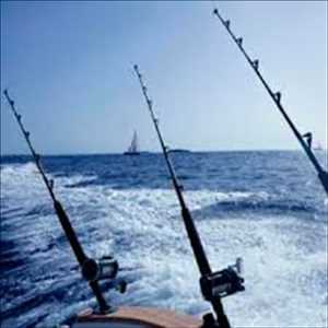  Datos futuros del mercado mundial de cañas de pescar en el mar