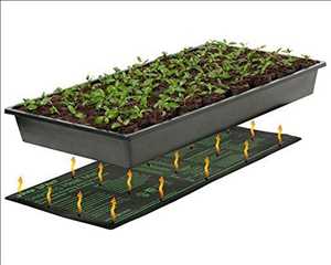  Análisis DAFO del mercado mundial de esteras térmicas para plántulas