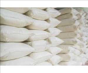  Análisis del mercado global de cal apagada