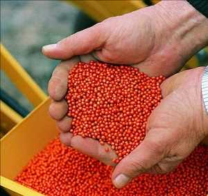  Demanda del mercado mundial de semillas de remolacha azucarera