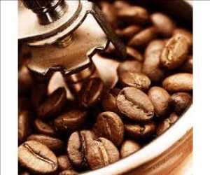 Datos del mercado mundial de café en grano entero
