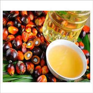  Cuota de mercado mundial de aceite de semilla de palma