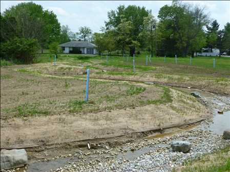 Banca de mitigación Mercado