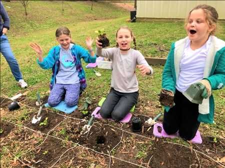 Educación al aire libre Mercado