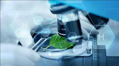 Software de medicina de precisión Mercado