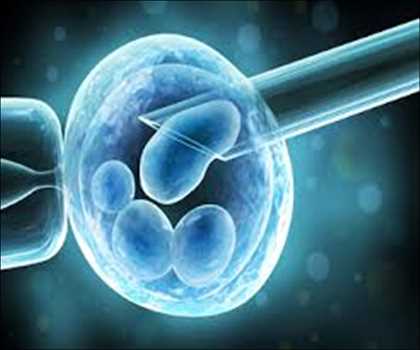 Fertilización in vitro (FIV) Mercado